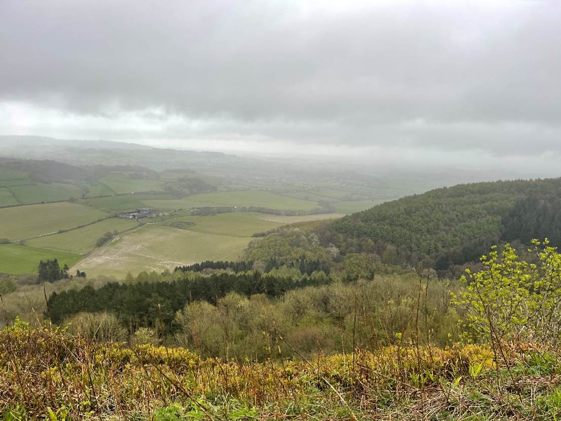 A landscape with trees and a valley

Description automatically generated